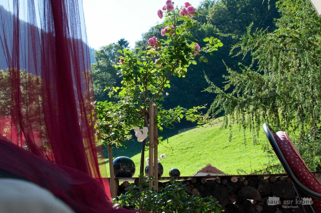B&B Haus Zur Krone Oberriet Екстер'єр фото